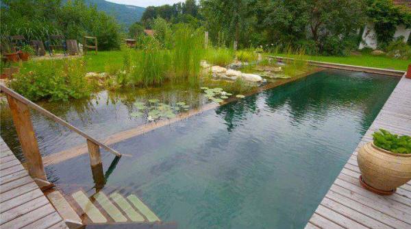 piscina natural