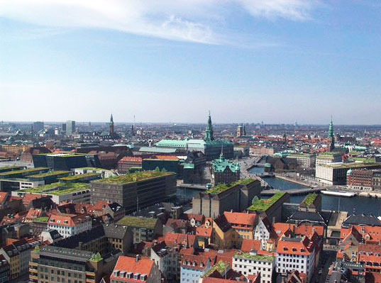 Los techos verdes, obligatorios por ley en Copenaghen